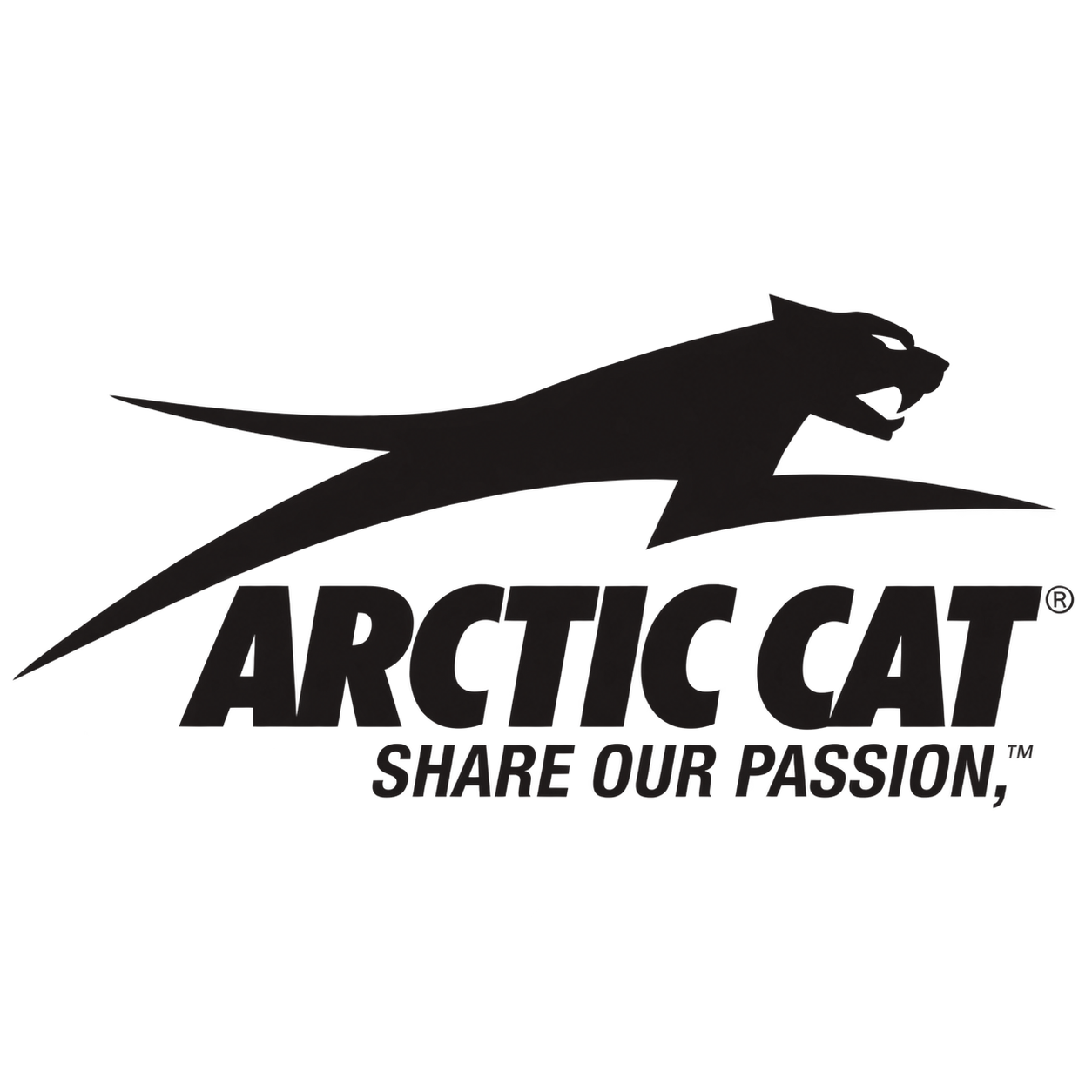 Arctic Cat Powder Special 500 EFI 2000